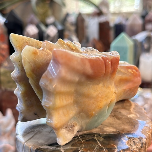 Caribbean Calcite Crystal Dragons Head Carving! - Picture 8 of 11